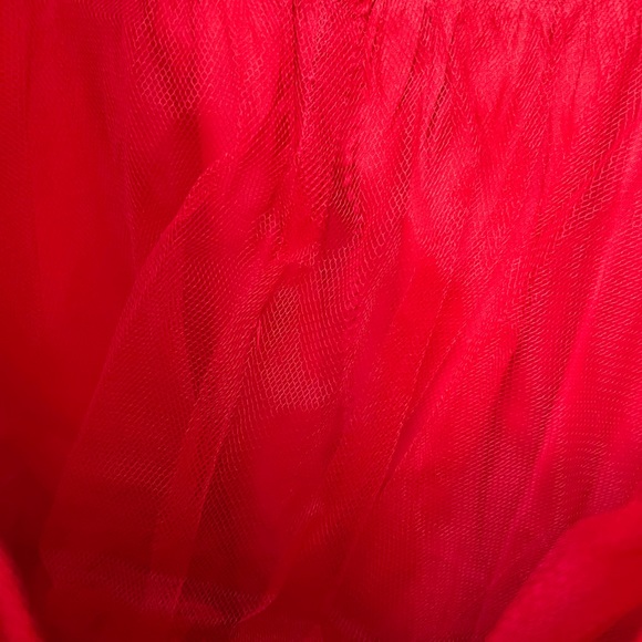 Vintage 1978 Mike Benet Pageant/Prom Dress (7) - Picture 7 of 10